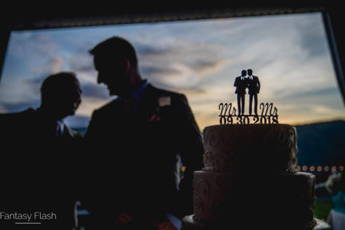 newlyweds posing in front of wedding cake