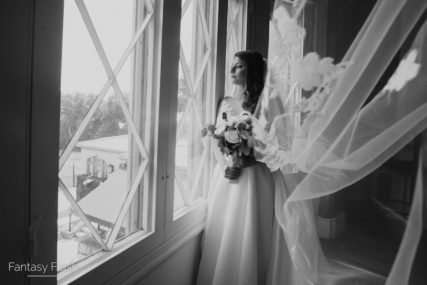 wedding portrait of a bride