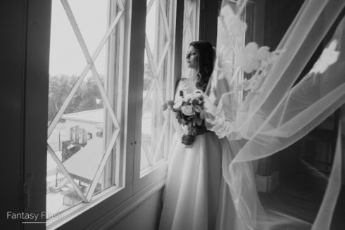 wedding portrait of a bride