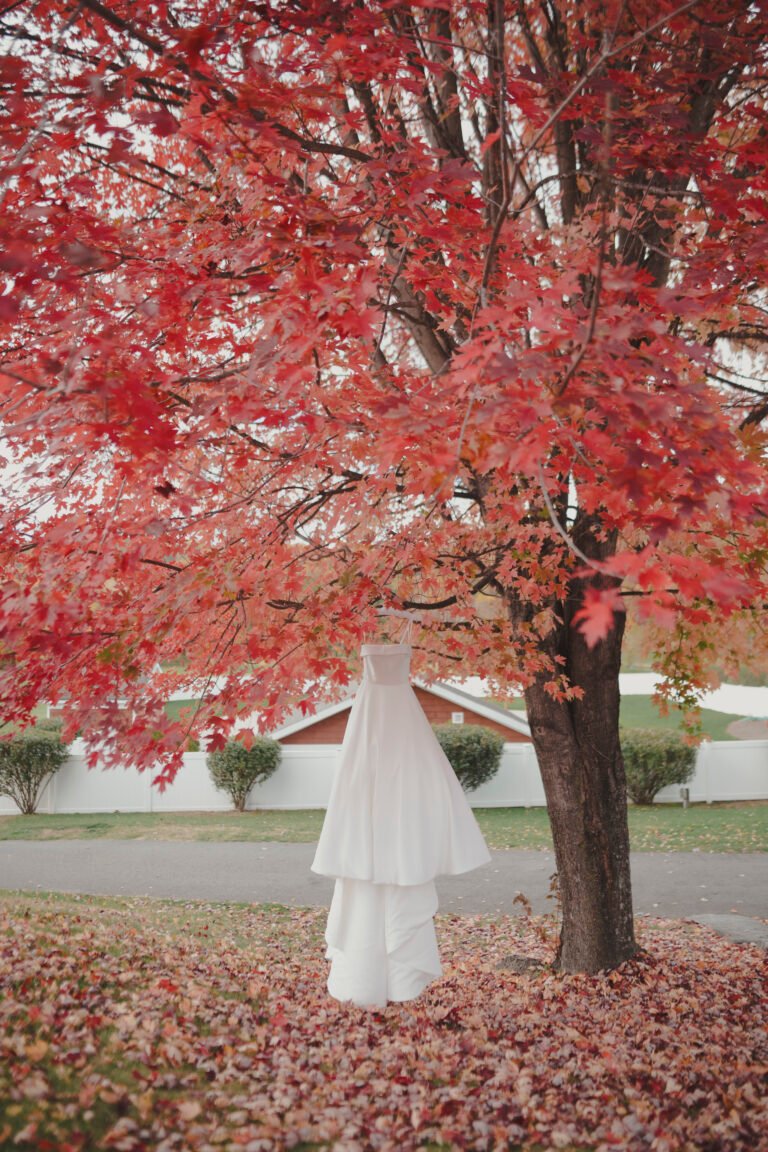 sneak peeks (12 de 225)